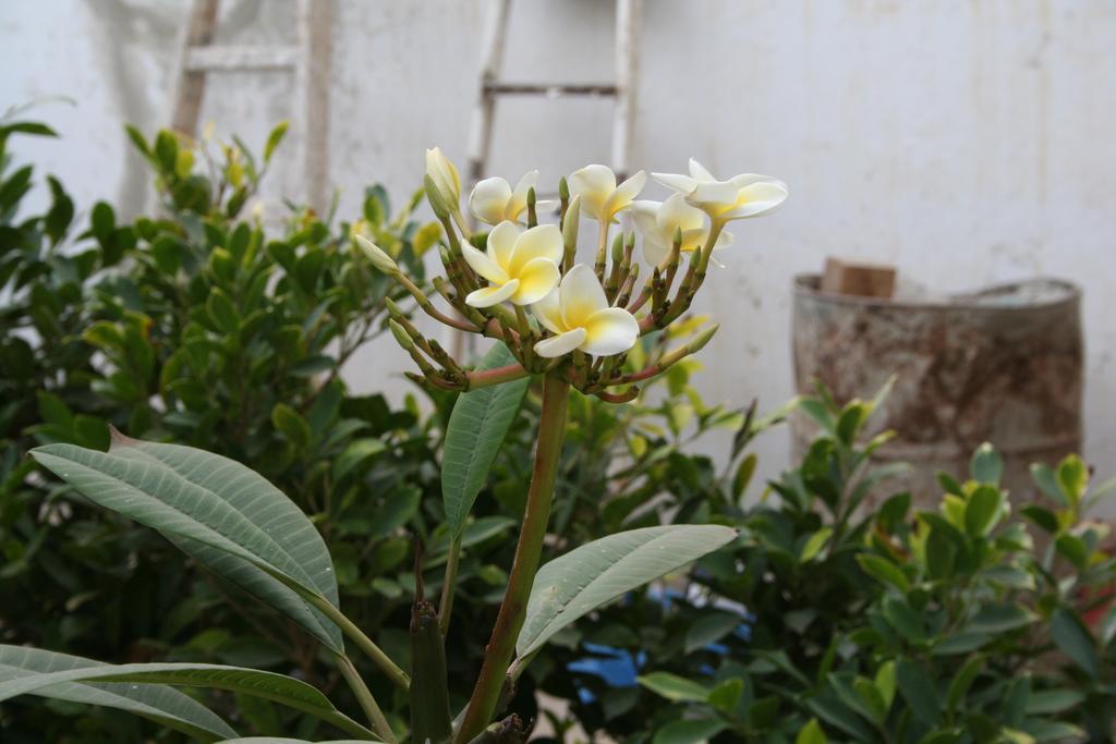 Keur Diame * Dakar