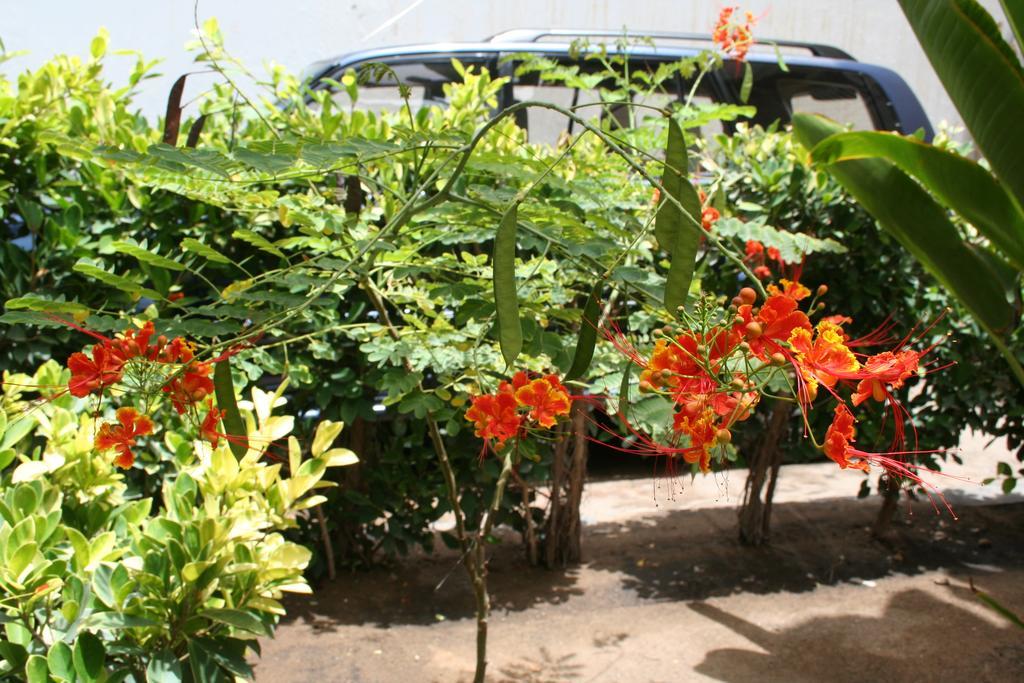 Keur Diame Hostal Dakar